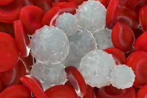 Počítačem podporovaná analýza buněk pro rychlejší diagnostiku nemocí krve