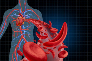 Výsledky studií pacientů se srpkovitou anémií, AML i nově diagnostikovaným mnohočetným myelomem