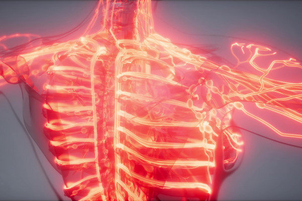 Anatomie prostupuje všemi lékařskými obory. Jak mohou mrtví pomáhat živým?