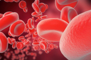 Onemocnění krve a krvetvorného systému