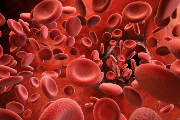 Identifikace dopadů dlouhodobé antitrombotické/antikoagulační terapie na management akutního subdurálního hematomu