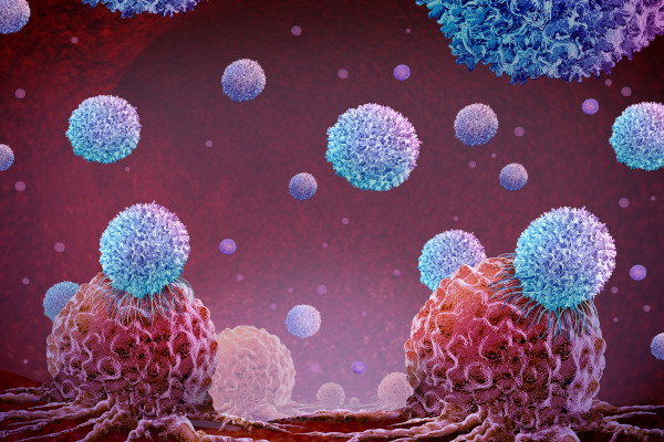 Do Česka vstupuje přelomová CAR-T terapie, první pacient ji dostane již v červnu. Pomáhat bude v hematoonkologii