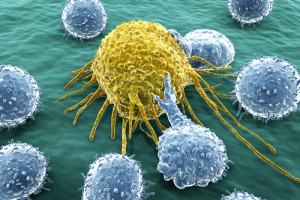 Představujeme terapii budoucnosti: CAR T buněčná terapie
